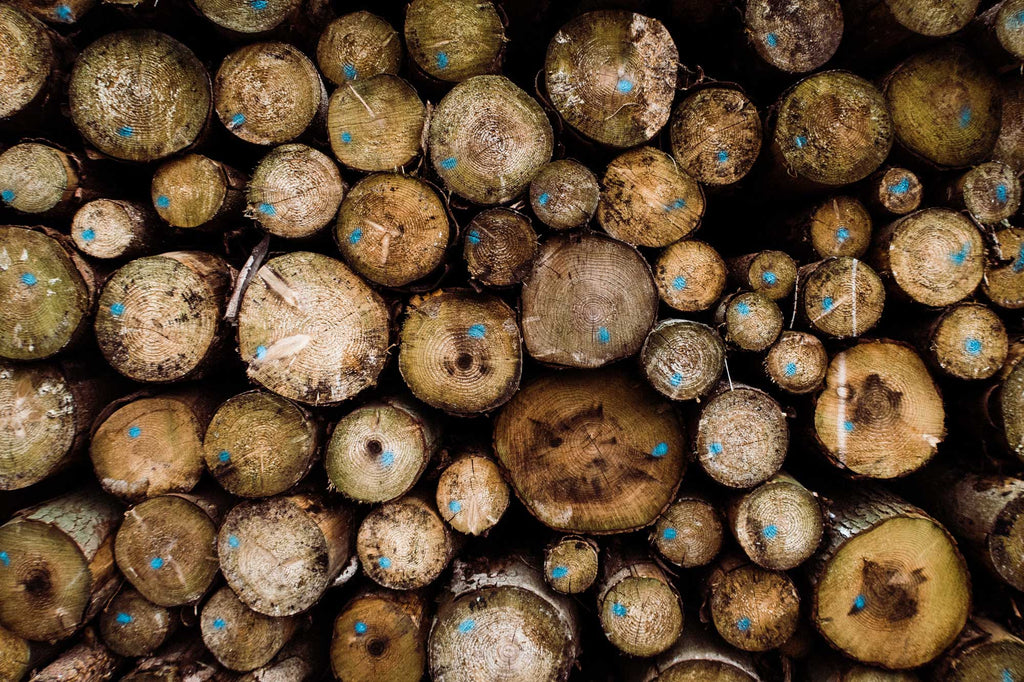 wood logs used for sustainable home construction